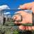 Avoid Costly Business Internet Mistakes